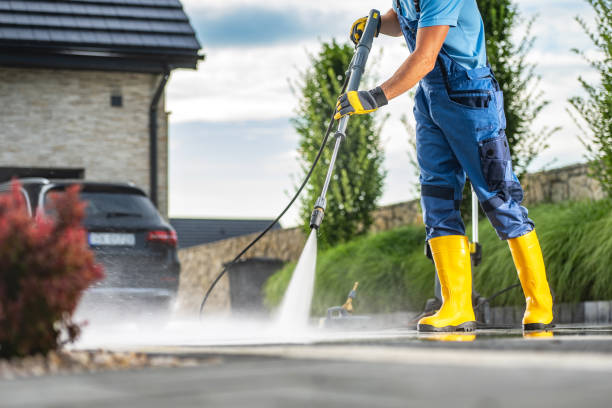 Best Dumpster Area Cleaning  in West Ack, NY